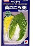 ハクサイの種 タキイ交配 黄ごころ85