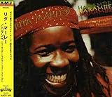 �n�����x