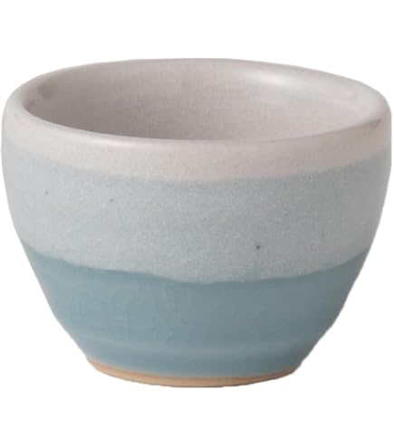 Amazon.co.jp: 京焼・清水焼 福亀 酒盃 （ぐい呑み おちょこ