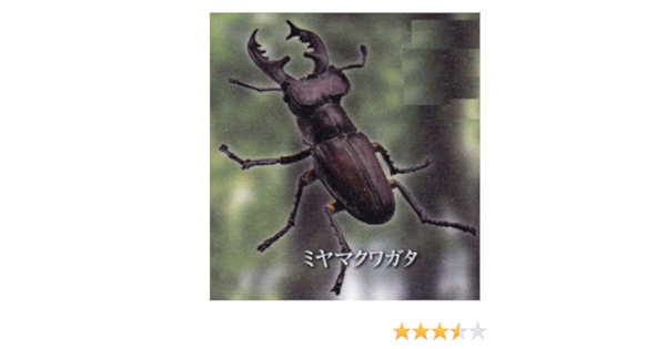 Amazon カプセルqミュージアム 日本クワガタムシ大全 2 ミヤマクワガタ 単品 カプセル玩具 おもちゃ