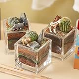 【日比谷花壇】ちいさな植物と一緒に楽しむジオラマ「サバンナのライオンたち」ミニサイズ3個セット