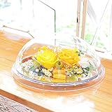 [florence du]プリザーブドフラワー 飾り方2WAYクリアケースドームアレンジメント イエロー&オレンジ 花 ギフト フラワーギフト 退院祝い 退職祝い 誕生日 プレゼント