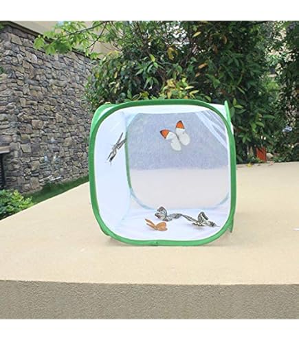 Amazon | Nanakake 昆虫ケージ 昆虫飼育箱 虫かご 折り畳み 育ケース