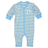 Under the Nileベビー男の子Union Suitカメレオンストライプ