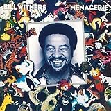 ���i�W�F���B