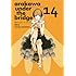 荒川アンダー ザ ブリッジ（14）初回限定特装版 フィギュア付き
