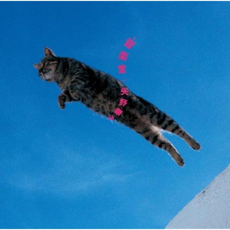 Amazon.co.jp: 矢野山脈 (完全生産限定盤): ミュージック