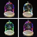 カラフルなLEDナイトライトDried Flowerダストカバーライトホームデコレーションギフトバレンタインの日のDC 4.5 V (サイズ12 x 14センチ