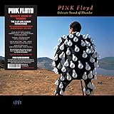 DELICATE SOUND OF THUNDER [2LP] [Analog]