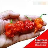 100 SEEDS - 100% Genuine Fresh Rare Red "Carolina Reaper" Pepper Seeds (hot chilli ) Organic Vegetab