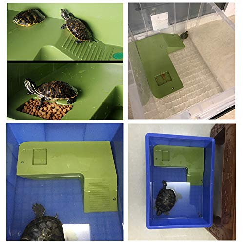 亀の飼育 水が汚れにくい亀の家 陸場 を購入 良いよこれ いい波ｇｏ Com