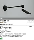 オーデリック エクステリアライト スポットライト 【OG 254 126】 OG254126