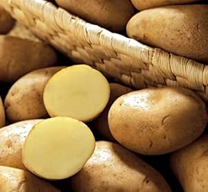 Amazon Co Jp ジャガイモ メークインの種芋 1kg 食品 飲料 お酒