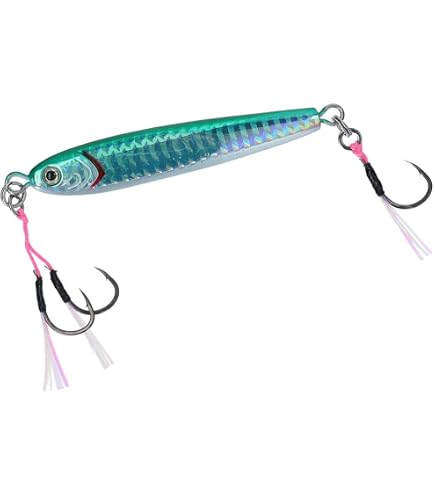 Amazon.co.jp: ダイワ(DAIWA) ソルティガ FKジグTG SLJ 40g : スポーツ