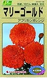 カネコ種苗 草花タネ106 マリーゴールド アフリカンオレンジ 10袋セット