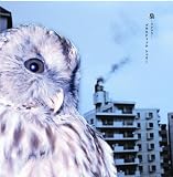 �� Plastic Tree