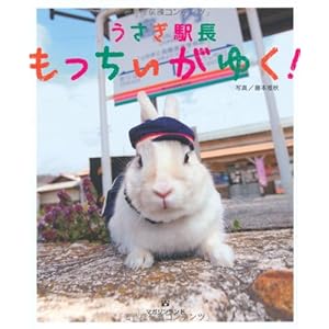 うさぎ駅長もっちぃがゆく! うさぎ駅長もっちぃがゆく!