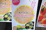 果樹苗　斑入りレモン　ピンクレモネード　　【送料込価格】