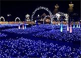 LUCKY CLOVER-A メートル2600 LED8 * 10は、クリスマスカーニバル妖精防水イースター新年バレンタインデー感謝祭ボクシングデー自宅のインテリア8モード（マルチカラー）、グリーンネ