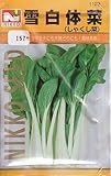 【種子】雪白体菜 [1123]