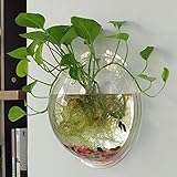 垂れ壁花瓶　水耕栽培ポット 栽培キット 透明ガラス製 壁掛け式の花瓶 壁飾り 手作りのプレゼント