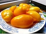 黄色いトマトの種子は、有機的ウクライナ家宝NON-GMOの栽培Sosulechka