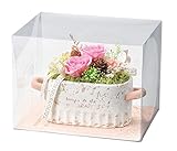 Paseo クリアケース入り プリザーブドフラワー カフェローズ ピンク 20×15×H15cm M-30PK