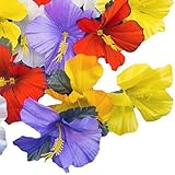 Adorox Hawaiian Artificial Hibiscus Silk Flowers Assorted Colors Tropical Table Setting Decoration D