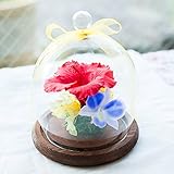 プリザーブドフラワー ガラスドーム ギフト (ハワイアンレッド) ガラスの森～ハイビスカスの雫～