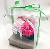 fleurmelody フラワーギフト ソープフラワー カーネーション アレンジメント So-K (ピンク)