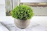Kooyi 光触媒 インテリア グリーン フェイクグリーン 人工観葉植物 鉢植え (針草, グリーン)