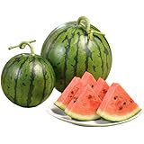 えびねの多菜生活 すいか 国産 夢大地 鹿本のスイカ 沖縄産 秀品 スイカ 贈答 ギフト 沖縄 すいか 西瓜 スイカ かもと 糖度11度以上選果 光センサーによる空洞検査済み 食品 フルーツ 果物 スイカ ギフト 贈答 進物 御供え お供え (2Lサ