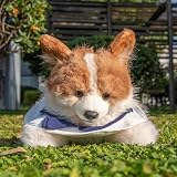 Chongker ぬいぐるみ - リアルな動物のぬいぐるみ 本物そっくりのおもちゃ 黒猫