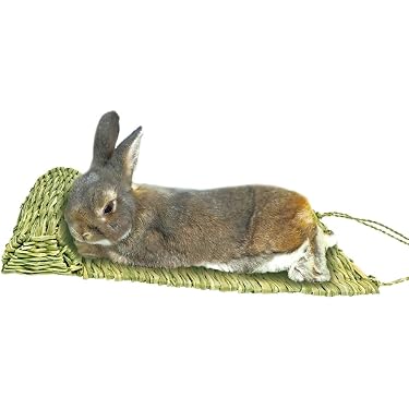 Amazon.co.jp 最新リリース: 小動物用ケージ内装 の新着ランキングです。