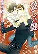 愛しい鍵 ［『甘い首輪』シリーズ作］ (幻冬舎ルチル文庫)