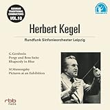 �`���I�ȃh�C�c�̎w���҂��� 10