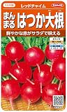 サカタのタネ 実咲野菜5300 まんまるはつか大根 レッドチャイム 00925300