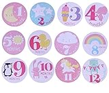 ベビー マタニティー マンスリー 撮影 フォトステッカー 記念 写真 ステッカー シール セット (ピンク)