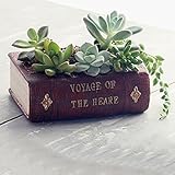 Non-brand ヴィンテージヨーロッパの本のデザインフラワーサボテンハーブSedumサクランボポットプランター盆栽トラフボックスプラントベッド