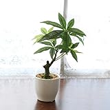 山久 プチグリーンアレンジ「パキラミニポット」VG3340 1907-2557 【CT触媒加工】【人工観葉植物】【造花】