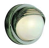 Trans Globe Lighting 4122 WH 8-Inch 1-Light Outdoor Bulkhead, White [並行輸入品]