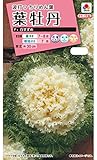 タキイ種苗葉牡丹F1 白すずめ