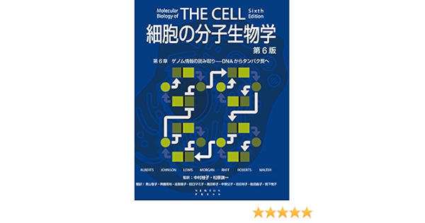細胞の分子生物学 第6版 第6章 ゲノム情報の読み取り Dnaからタンパク質へ 細胞の分子生物学 第6版 Alberts Johnson Lewis Morgan Raff Roberts Walter 中村桂子 松原謙一 青山聖子 斉藤英裕 滋賀陽子 田口マミ子 滝田郁子 中塚公子 羽田裕子 船田晶子