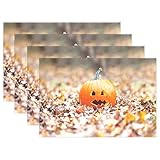 wihveプレースマットWipeableダイニングハロウィンパンプキンLeaves 12 x 18 inch