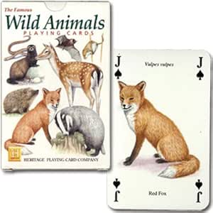 Amazon トランプ ワイルド アニマル ヨーロッパに生息する野生動物達 カードゲーム トランプ おもちゃ