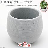 石丸弐号(本体&皿セット) グレーミカゲ 2個
