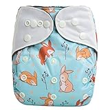 HappyEndingsTM Night, Night Charcoal Bamboo Pocket Cloth Diaper + 5 Layer Charcoal Bamboo Insert Vin