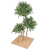 仕立マキ　板付　60ｃｍ