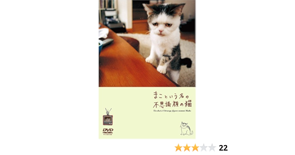 Amazon Co Jp まこという名の不思議顔の猫 Dvd 大谷浩之 Dvd