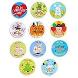 US輸入 月齢ステッカー ＆ スタイ セット 男女兼用 My First ホリデー [並行輸入品]
